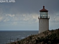 NATEAPPEL_106506